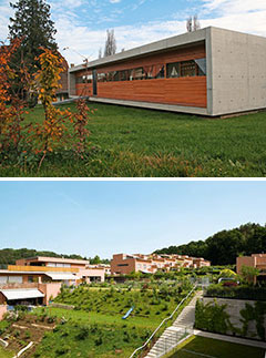 Fotos: Wikimedia Commons; P. Ott