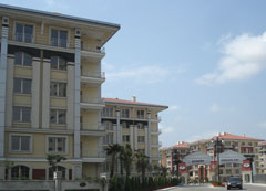 Foto: Y. Coban