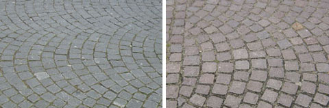 Foto: C.-P. Spuhn
