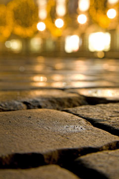 Foto: K. Zdorov/iStock
