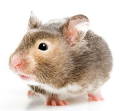 Foto: S. Burkard/ Fotolia.com