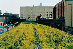Foto: Friends of the High Line