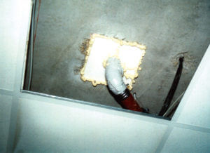 Foto: Dietrich Hinz