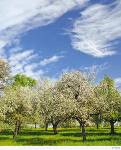 Foto: Fotolia Foto: Fotolia