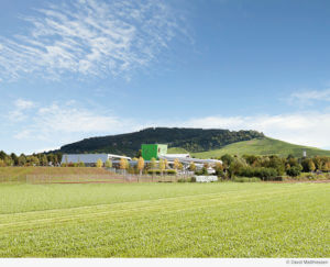 Grünes Ambiente und bunte Decken: Hinten der Weinberg, im unteren Bild das Erlebnisbad mit verschiedenfarbigen Akustik-Elementen