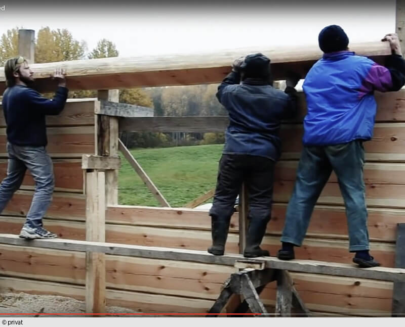 Viele Hände, schnelles Ende: Ein Dokumentarfilm zeigt die Entstehung eines Holzhauses. (Foto: Filmstill)