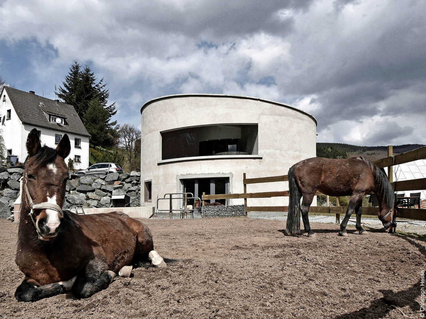Villa F von Christoph Hesse mit Pferden