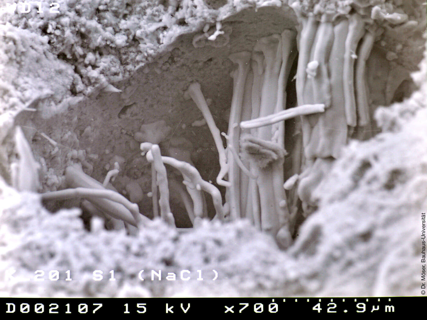 Mikroskopische Aufnahme einer Pore im Sanierputz