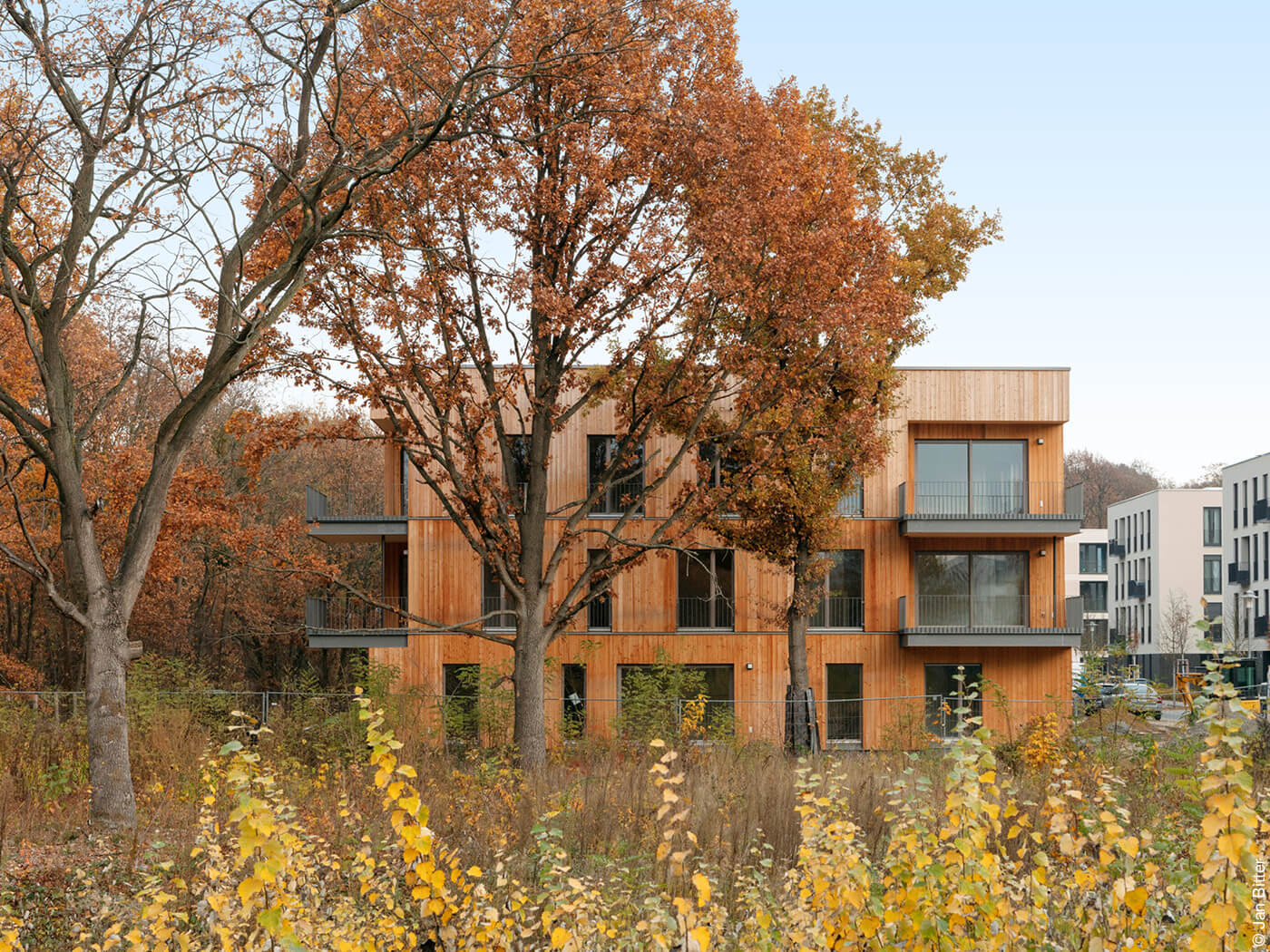 Holzbau in einem Park