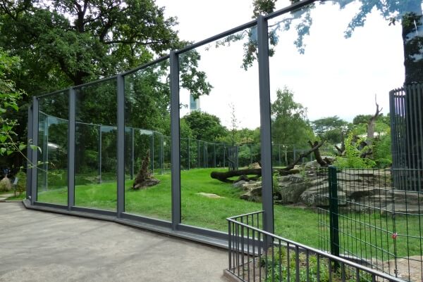 Glaswand im Zoo