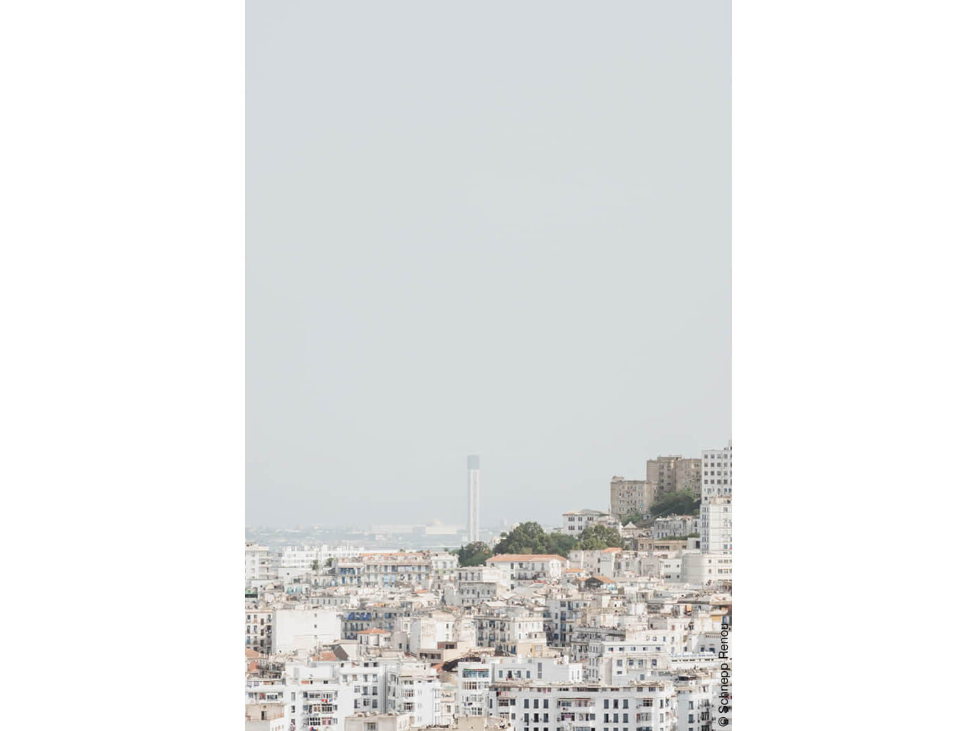 Blick auf Algier mit hohem Moscheeturm