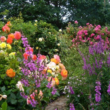 Garten mit bunten Blumen