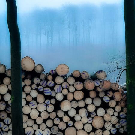 Foto von abgeholzten Baustämmen