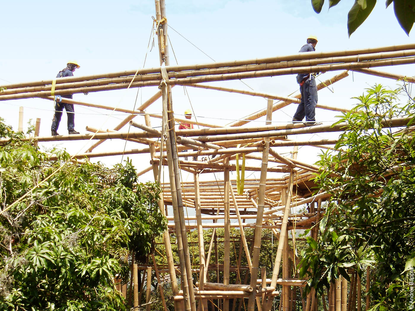 Bauen mit Bambus