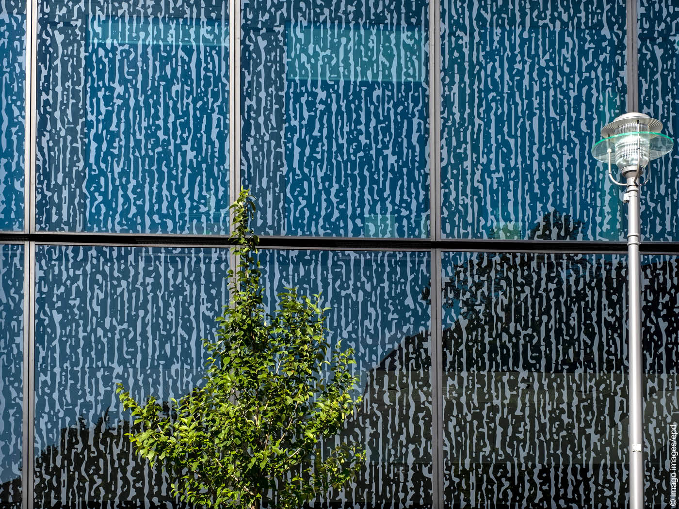 Vogelschutzglas am Axel Springer Campus