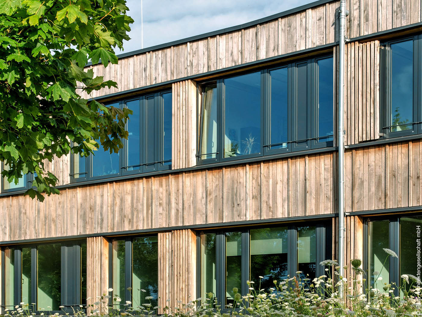 Holzfassade mit grünen Fenstern