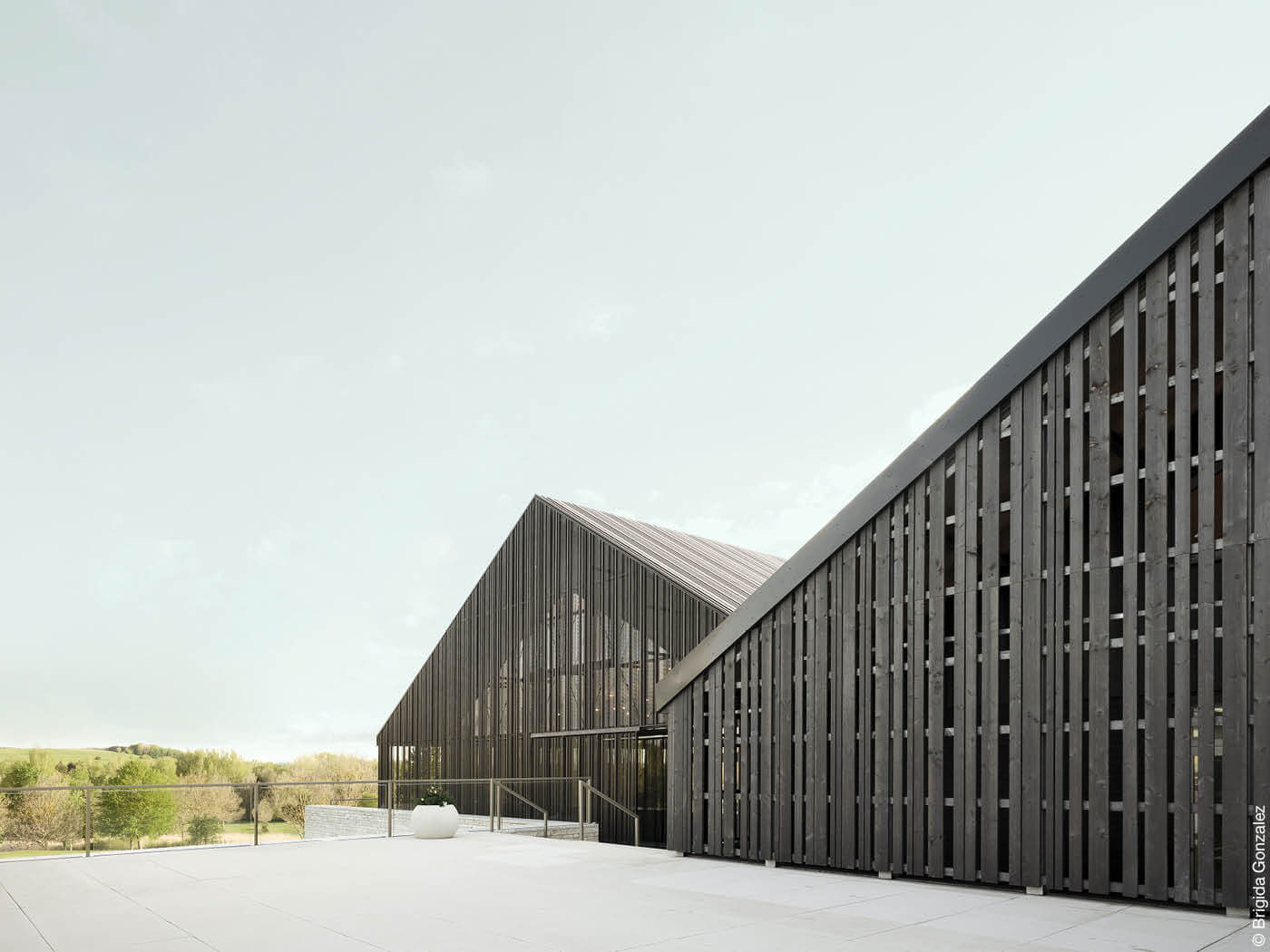 Fassaden mit einer vorgehängten hinterlüfteten Konstruktion in dunkelbraun