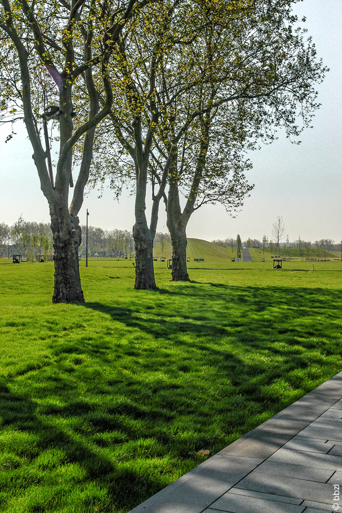 Bäume und Wiese im Zechenpark