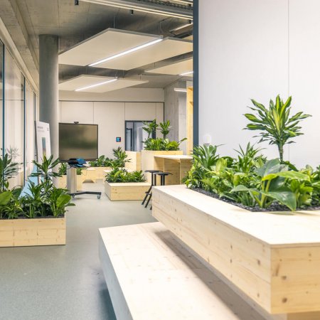 heller Raum mit Pflanzen in einem Bürogebäude