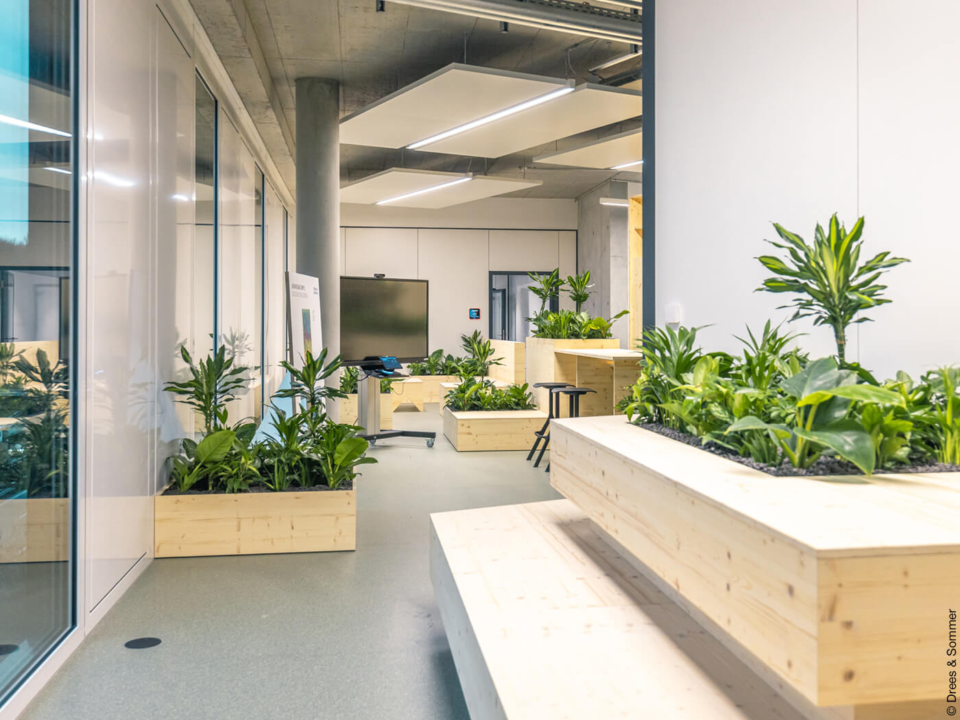 heller Raum mit Pflanzen in einem Bürogebäude