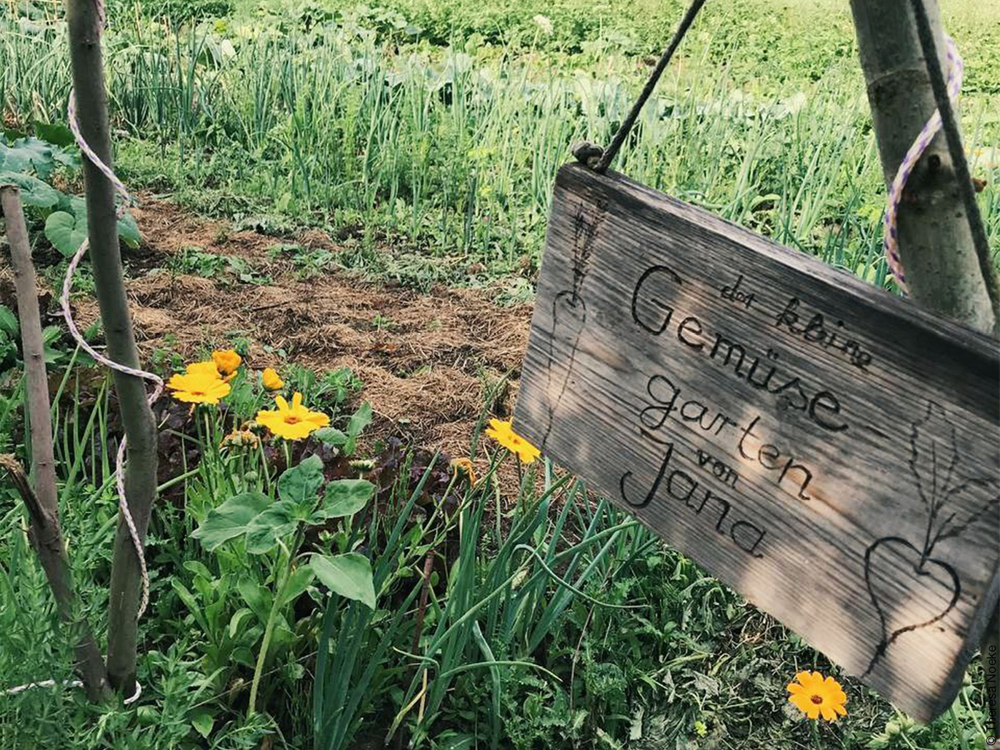 Gemüsegarten mit Holztafel