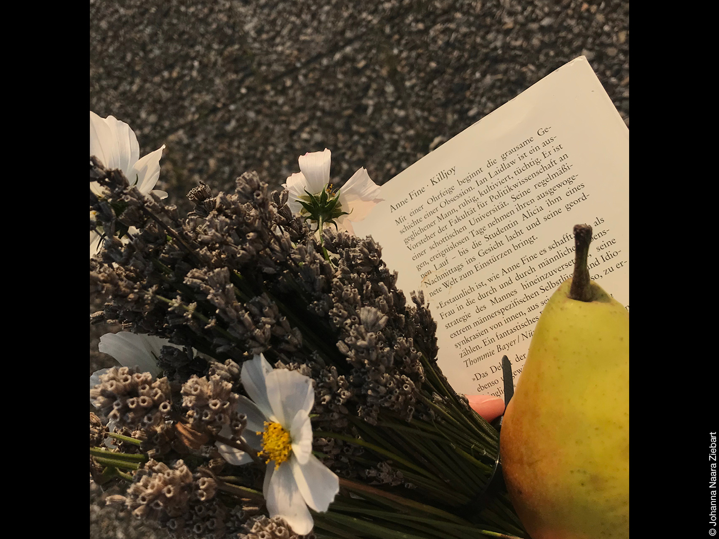 Blumen, Buch und Birne