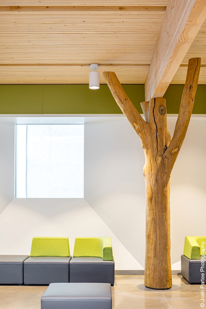 Innenraum mit Sofa und Holzstamm