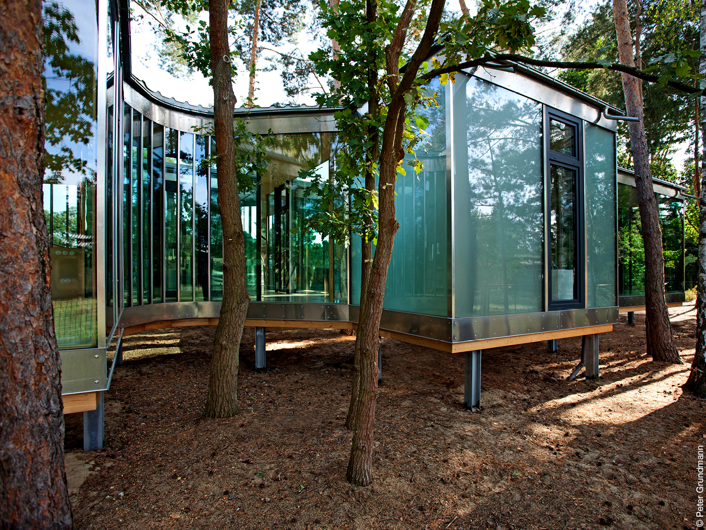 Wohnhaus mit Glasfassade auf Stelzen zwischen Bäumen