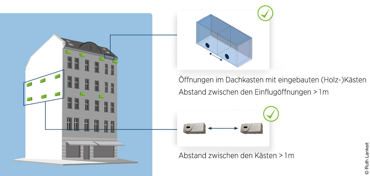 Zeichnung von Nistkästen an einem Gebäude