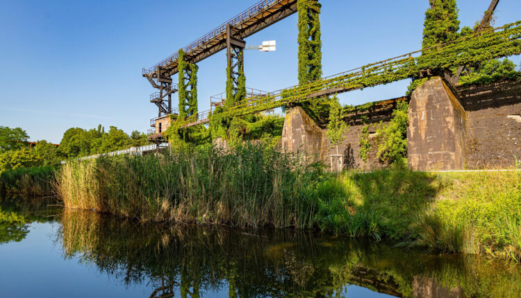 Brückenreste aus Stahl an einem See