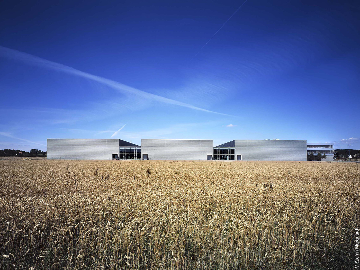 Industriegebäude hinter einem Weizenfeld