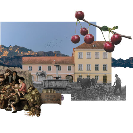 Collage aus Schlossfassade, Kirschzweig und historischem Bild
