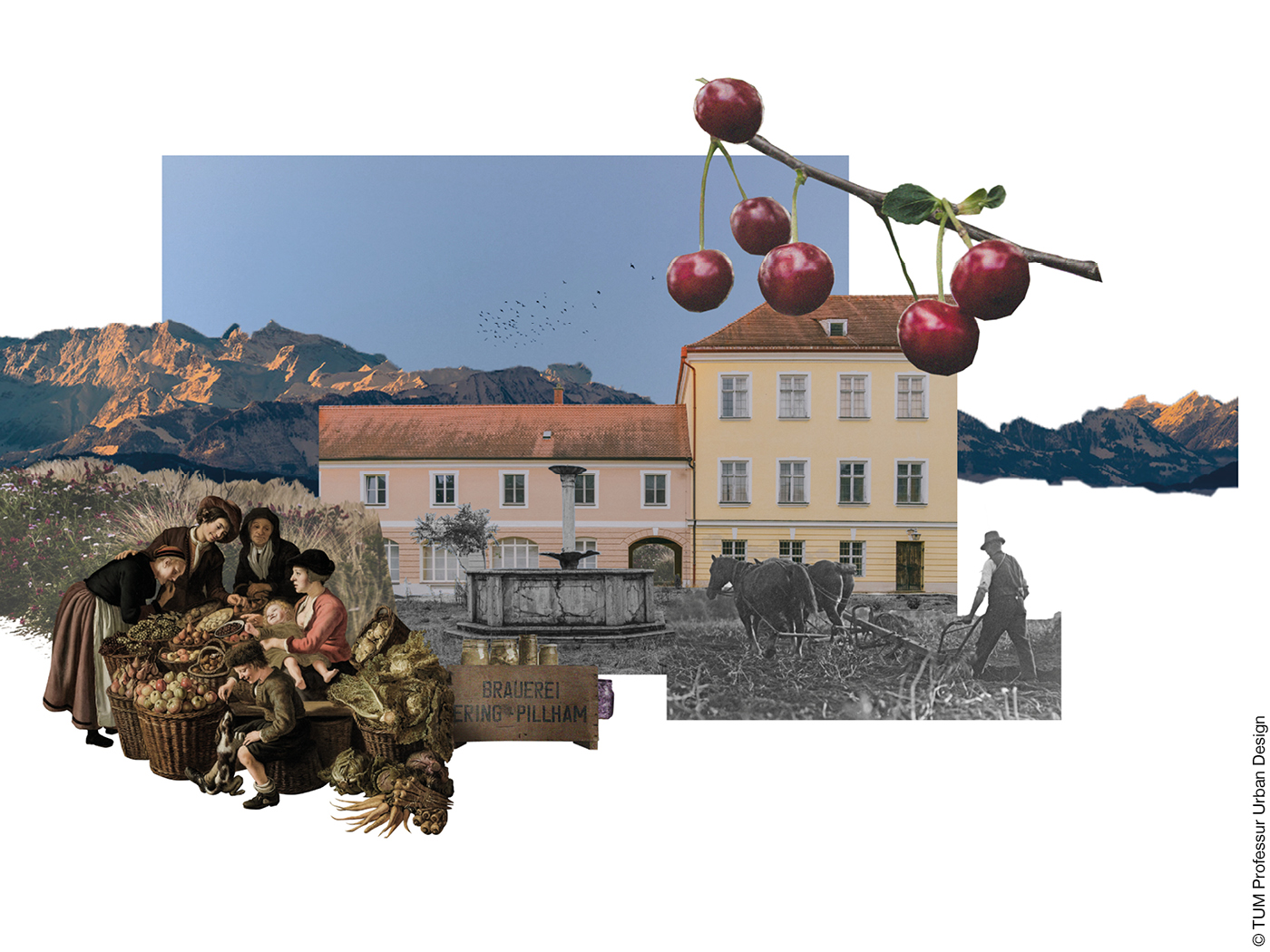 Collage aus Schlossfassade, Kirschzweig und historischem Bild