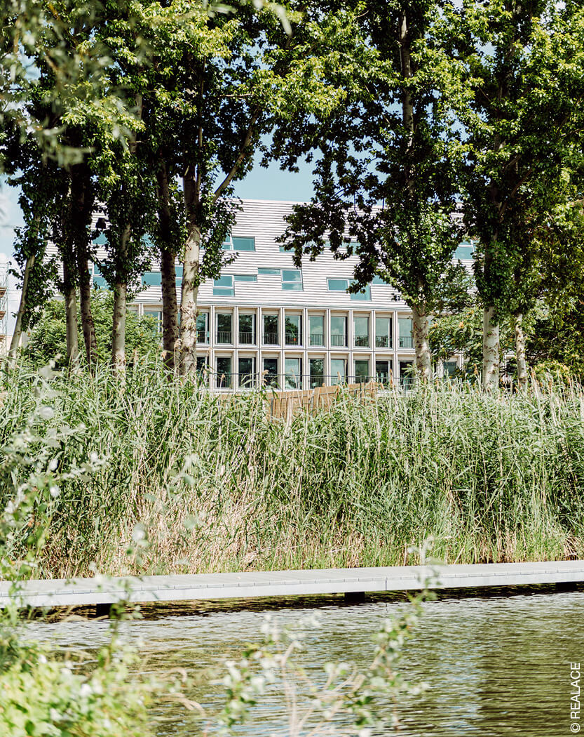 Gebäude hinter See und Bäumen