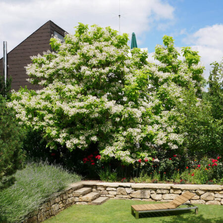 Garten mit Holzliege