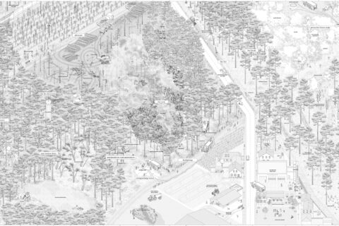 Wimmelbild des Areals