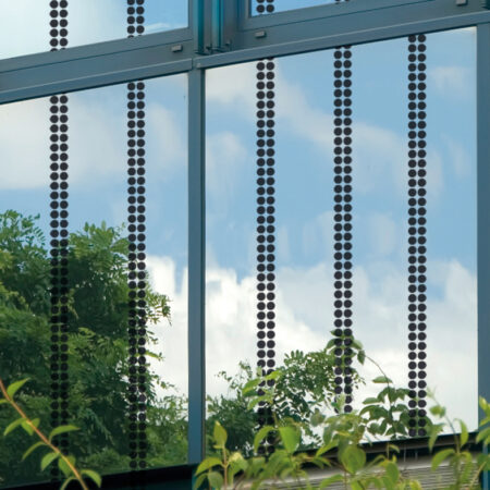 Fenster mit Vogelschutzfolie von Haverkamp