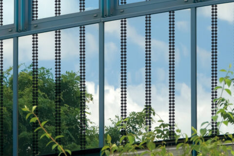 Fenster mit Vogelschutzfolie von Haverkamp