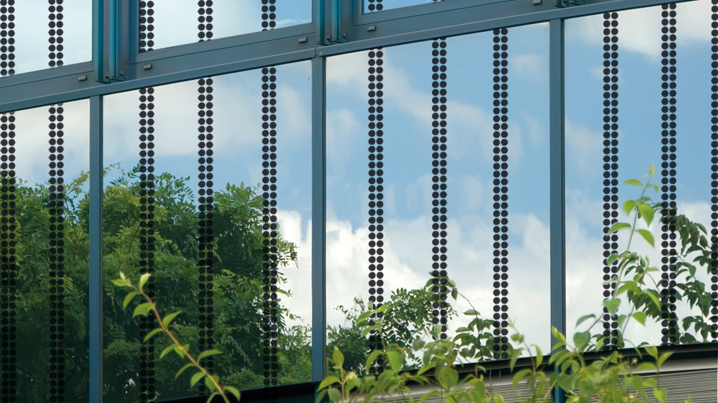 Fenster mit Vogelschutzfolie von Haverkamp