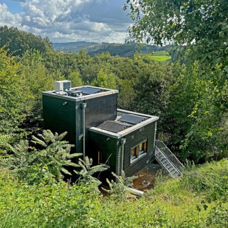 Modellhaus mit schwarzer Ziegelfassade inmitten von Büschen und Bäumen.