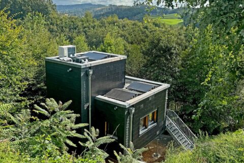 Modellhaus mit schwarzer Ziegelfassade inmitten von Büschen und Bäumen.